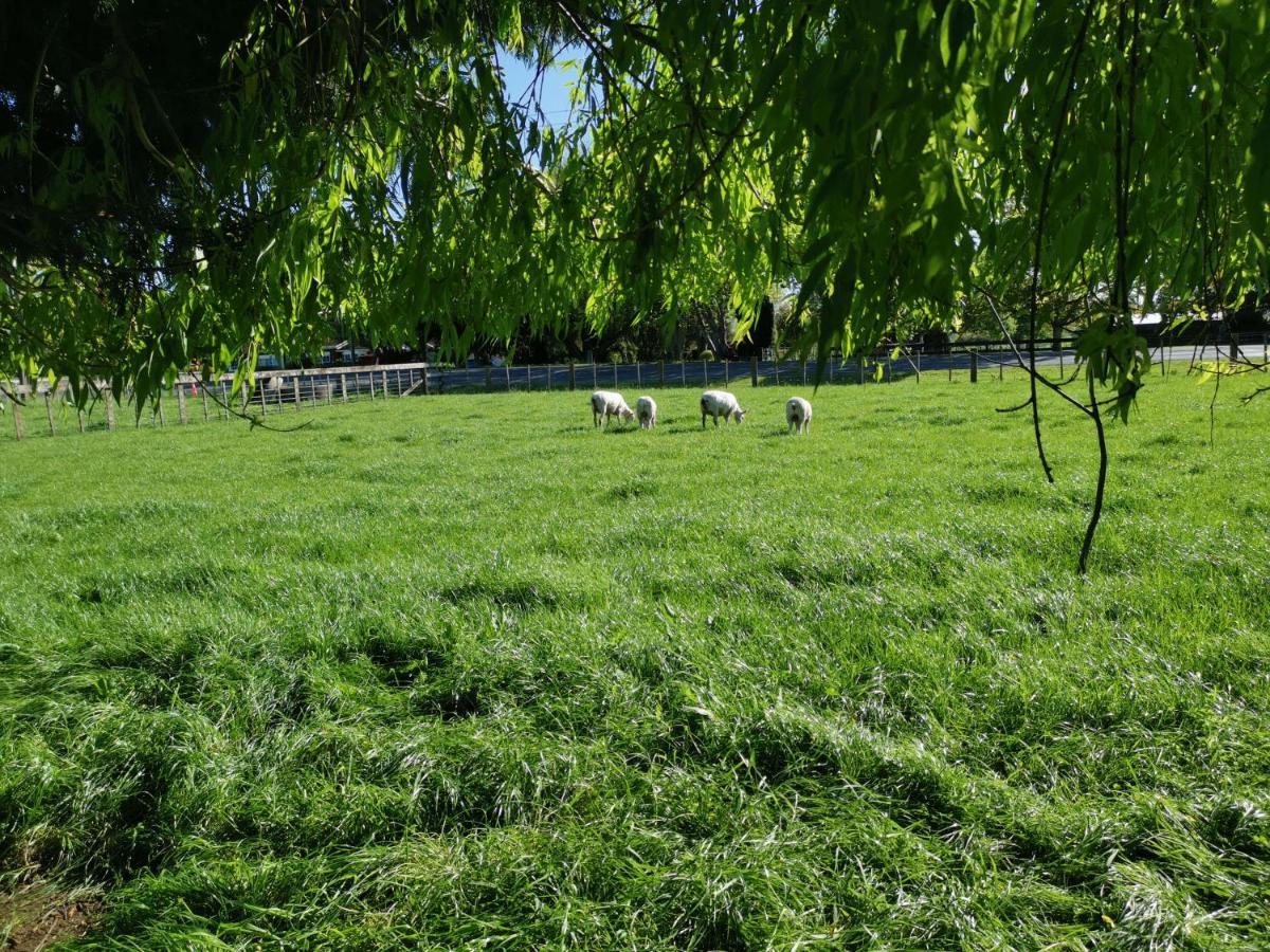 Farm Stay On Te Awa Cycleway Tamahere Exterior foto