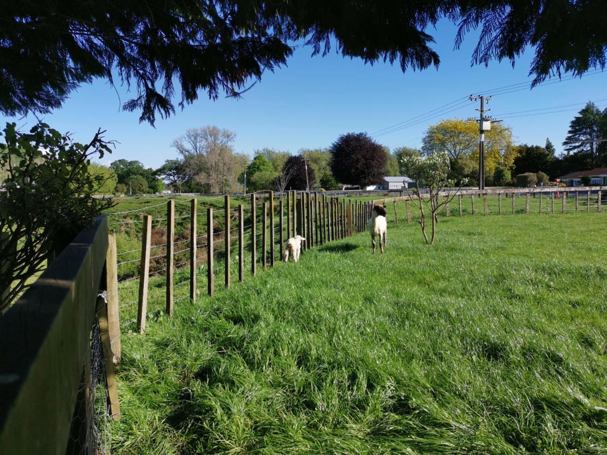 Farm Stay On Te Awa Cycleway Tamahere Exterior foto