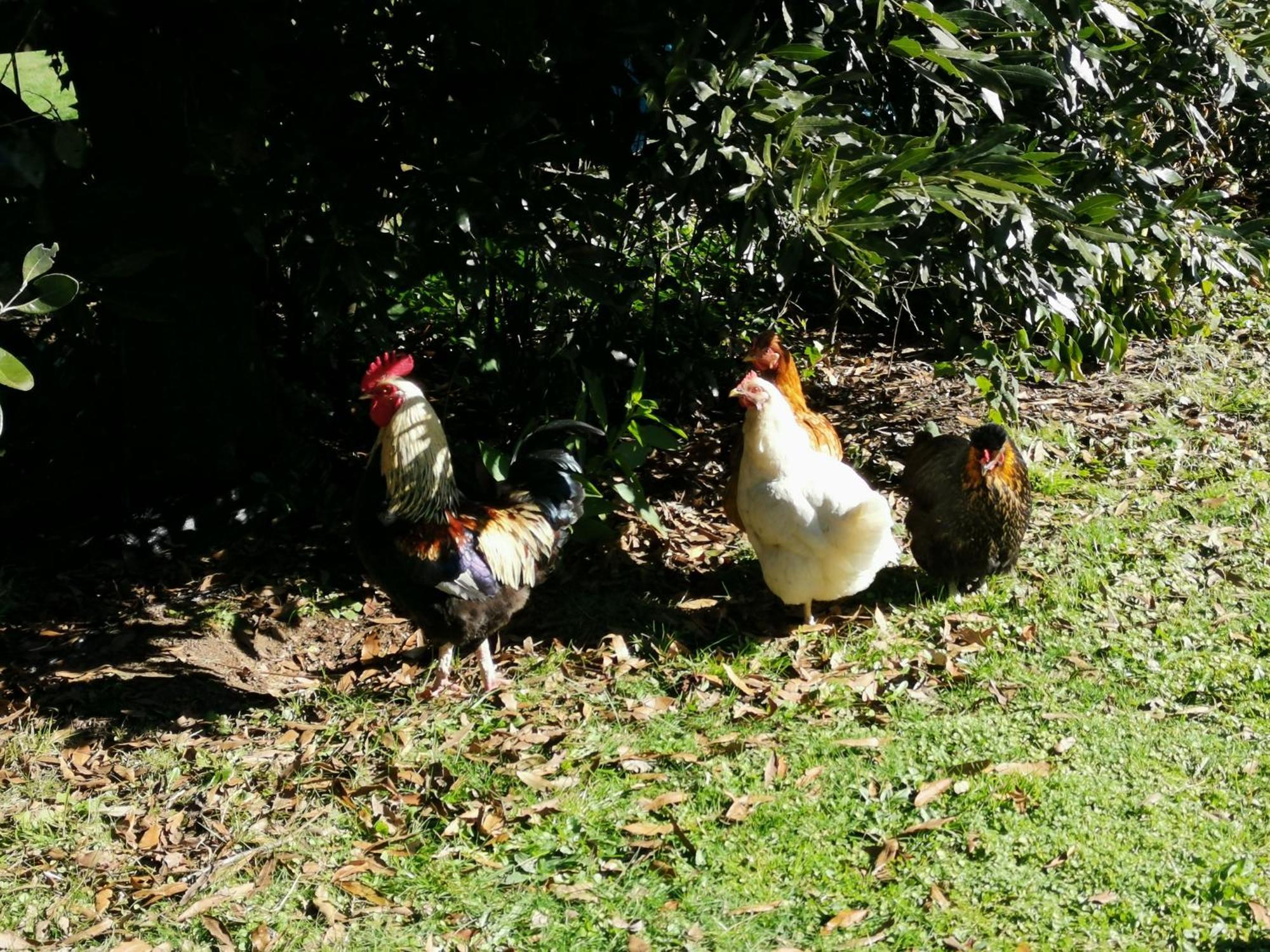 Farm Stay On Te Awa Cycleway Tamahere Exterior foto